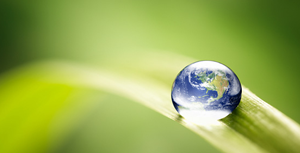 Environmental Policy