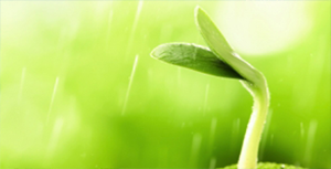 Sustainable Societies